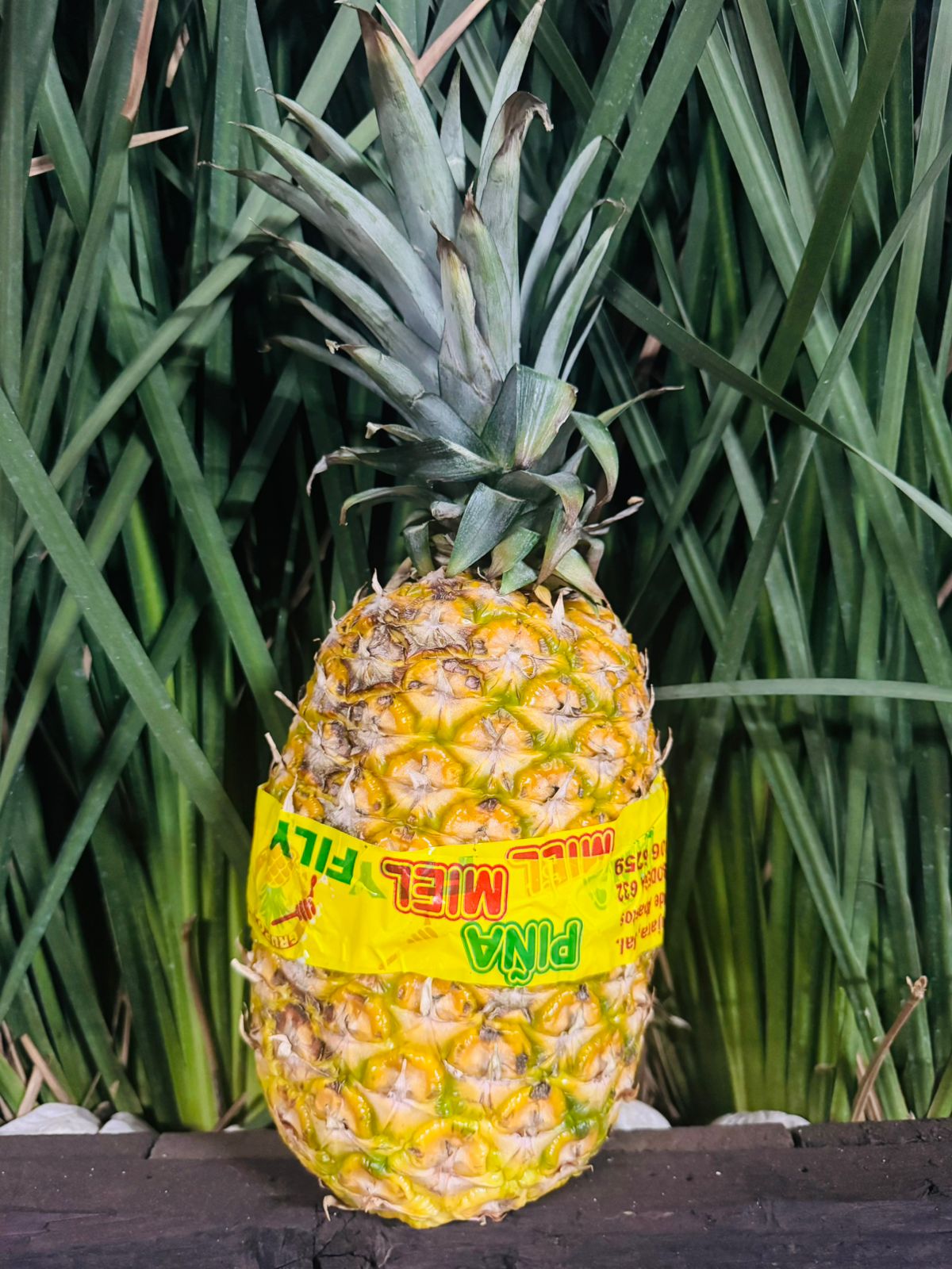 Frutas y Verduras