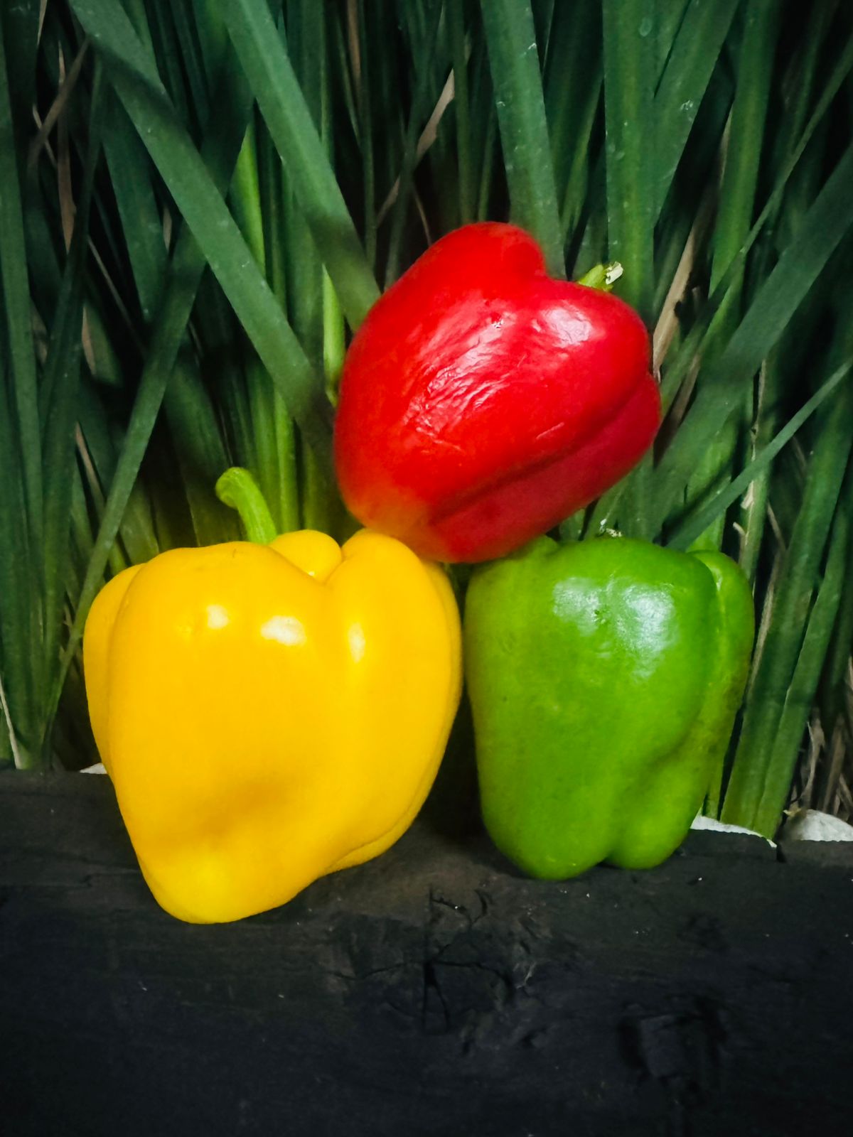 Frutas y Verduras
