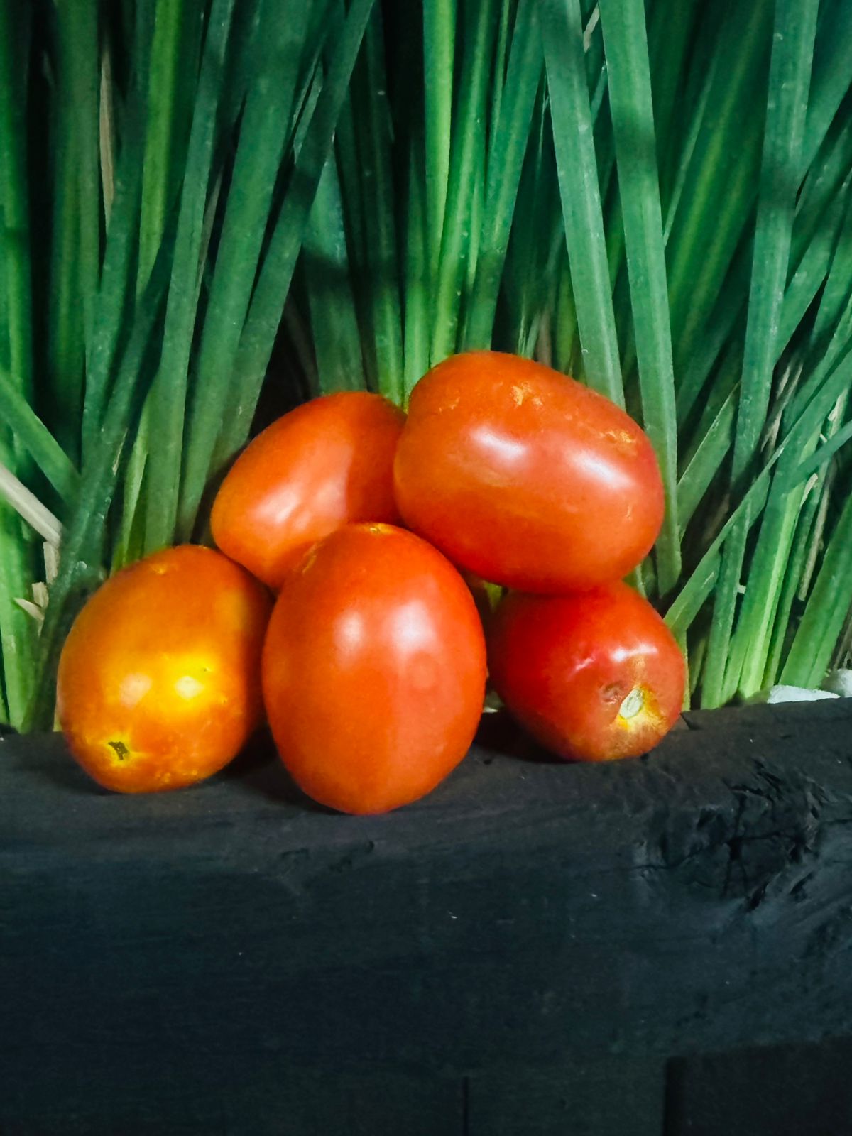 Frutas y Verduras