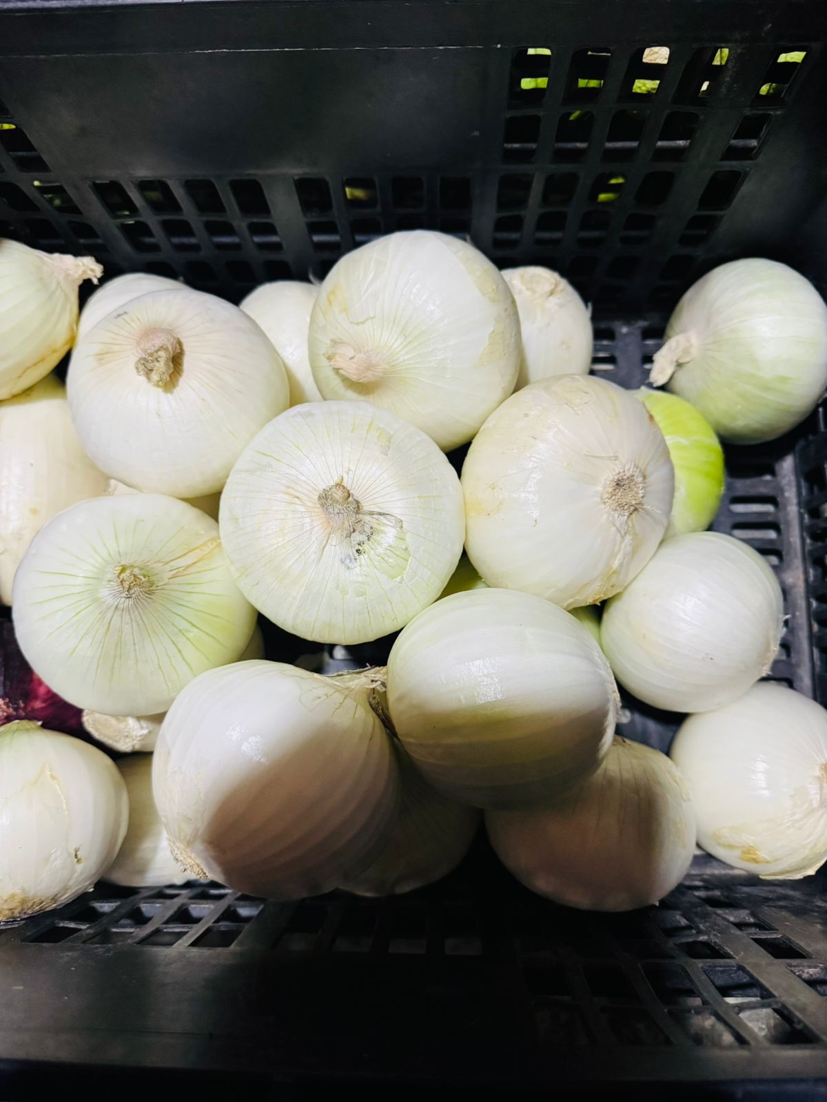 Frutas y Verduras