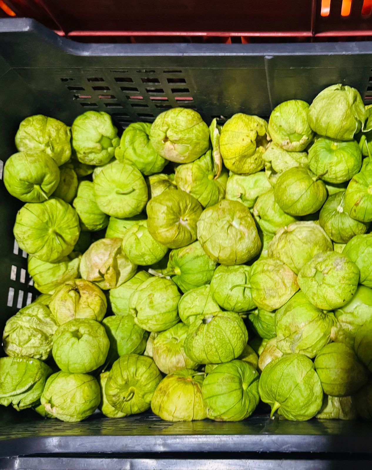 Frutas y Verduras