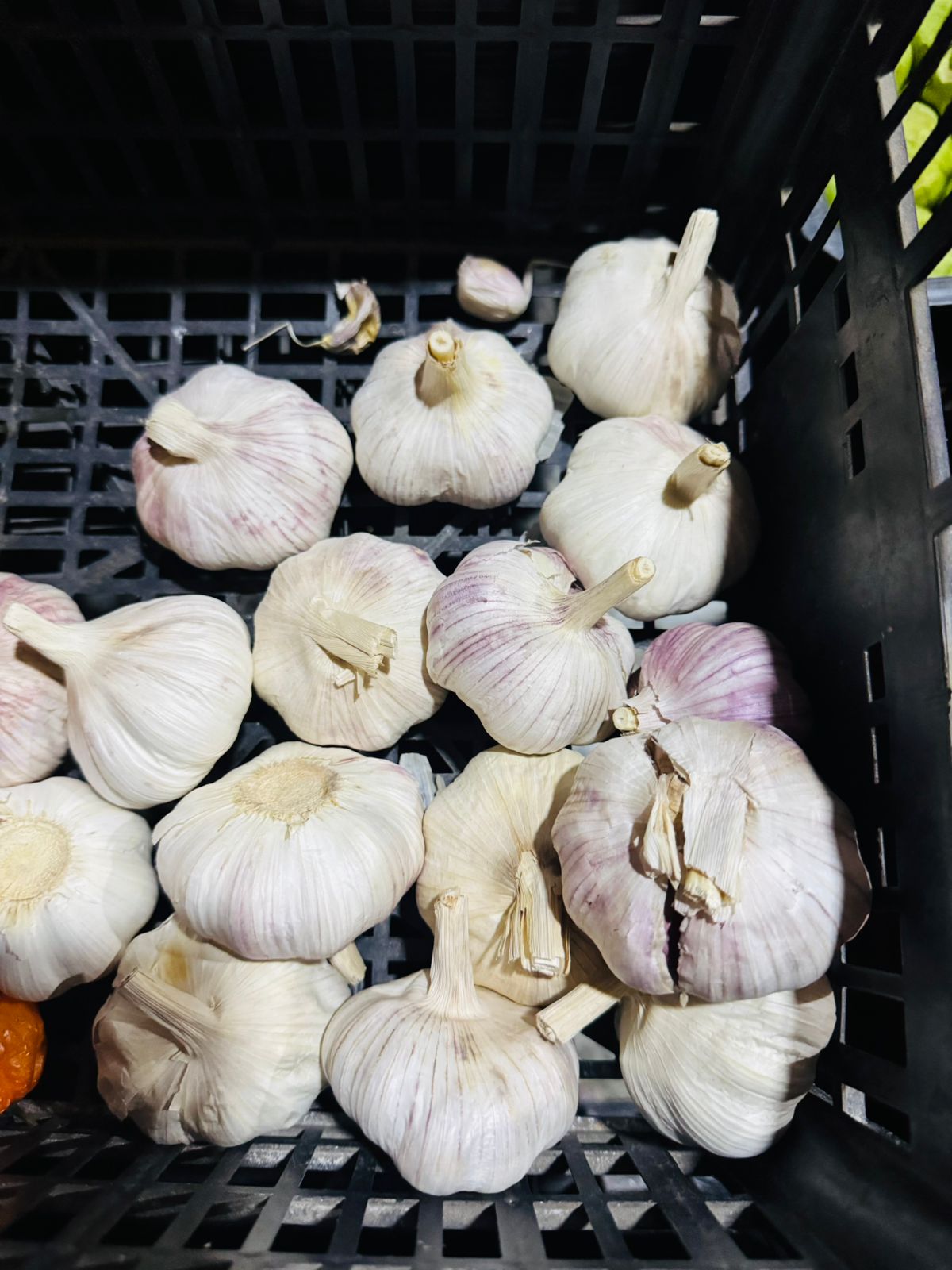Frutas y Verduras
