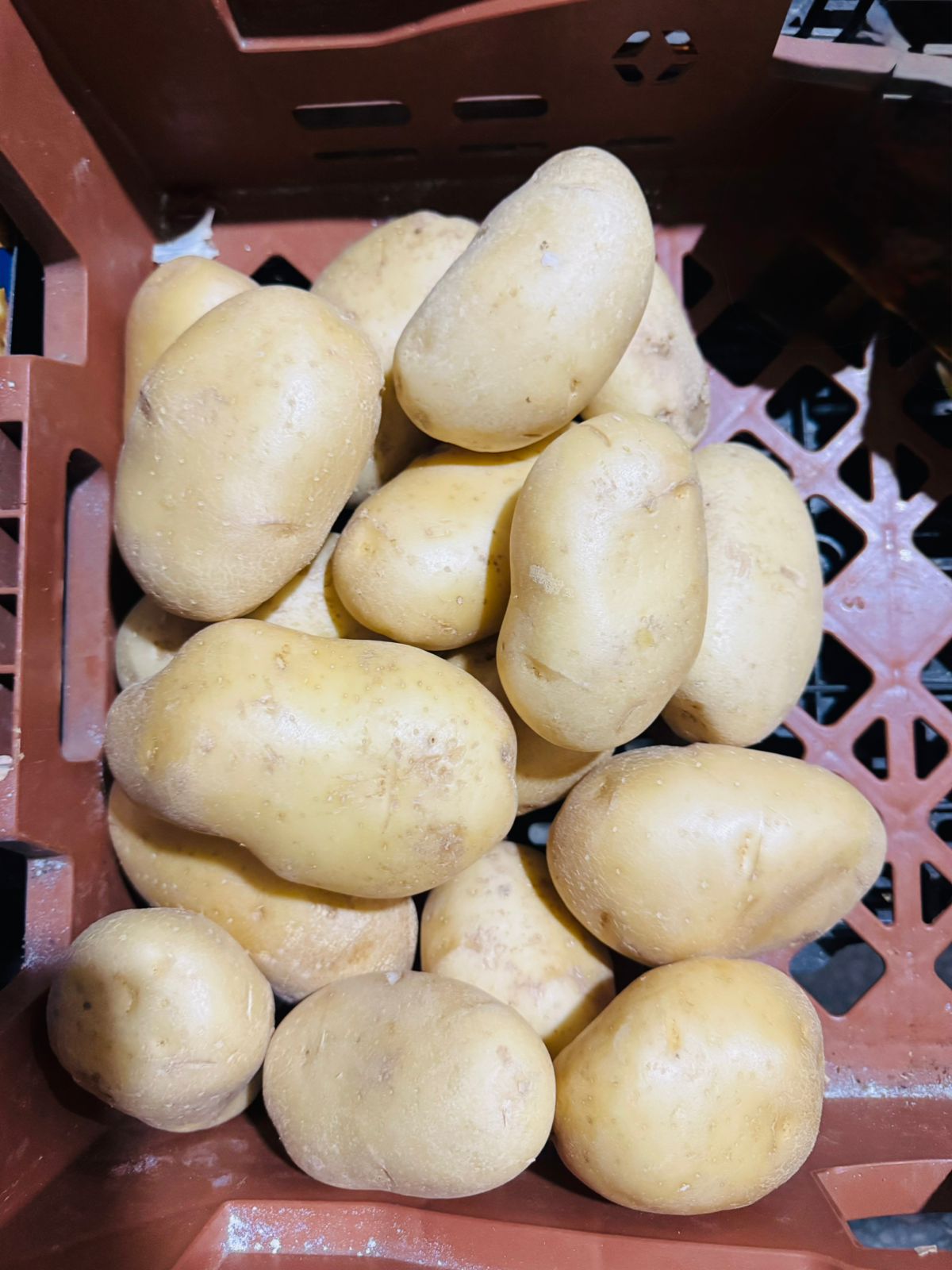 Frutas y Verduras
