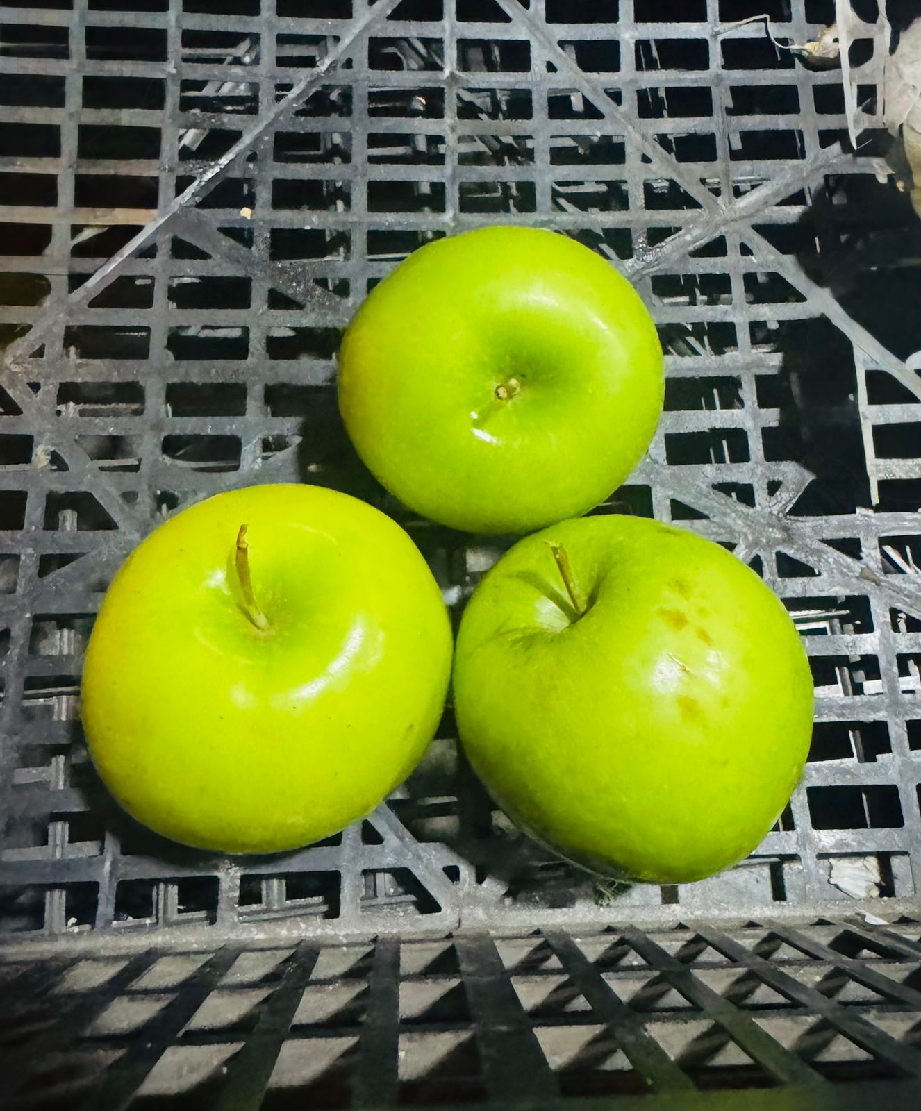 Frutas y Verduras