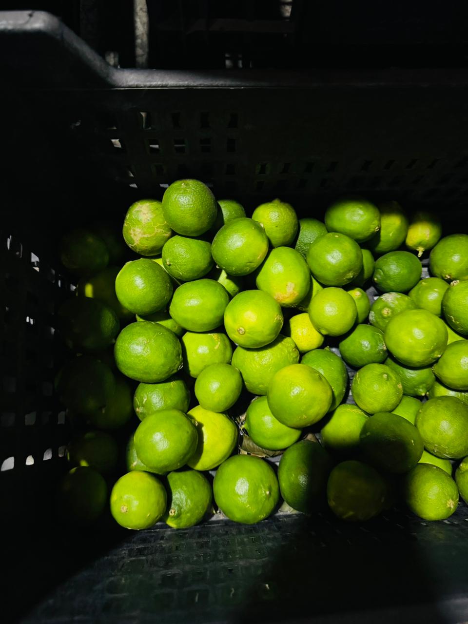 Frutas y Verduras