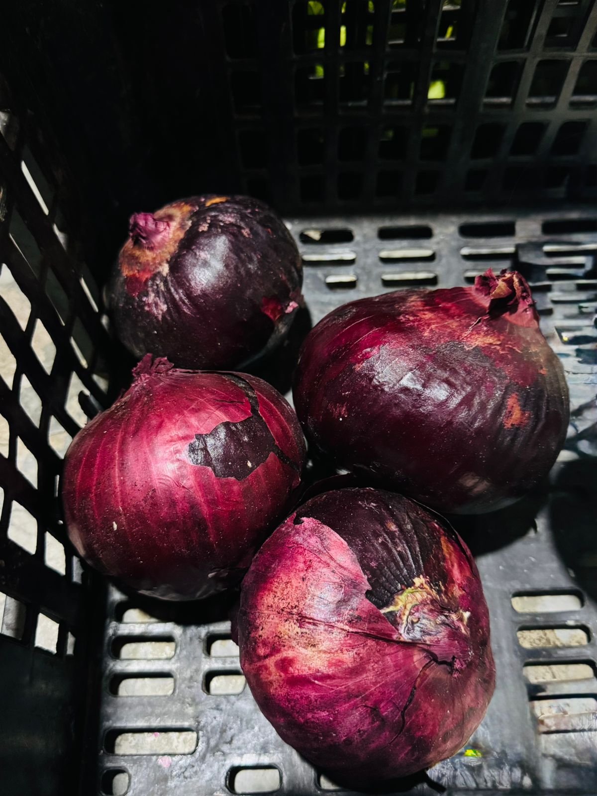 Frutas y Verduras